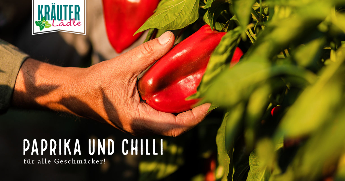 Featured image for “Paprika und Chilli für alle Geschmäcker!”