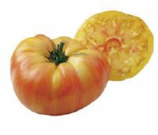 Fleisch-Tomate ´Ananas´
