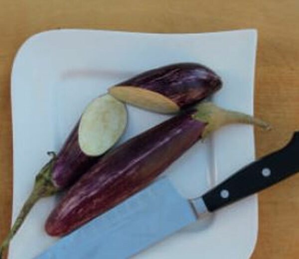 Gestreifte Aubergine