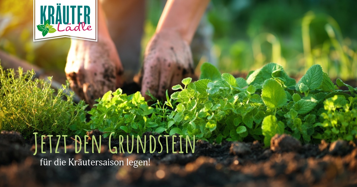 Featured image for “Jetzt den Grundstein für die Kräutersaison legen”